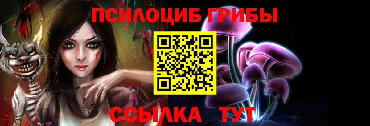 Астрахань  Псилоцибиновые грибы Psilocybe  Вход с VPN 